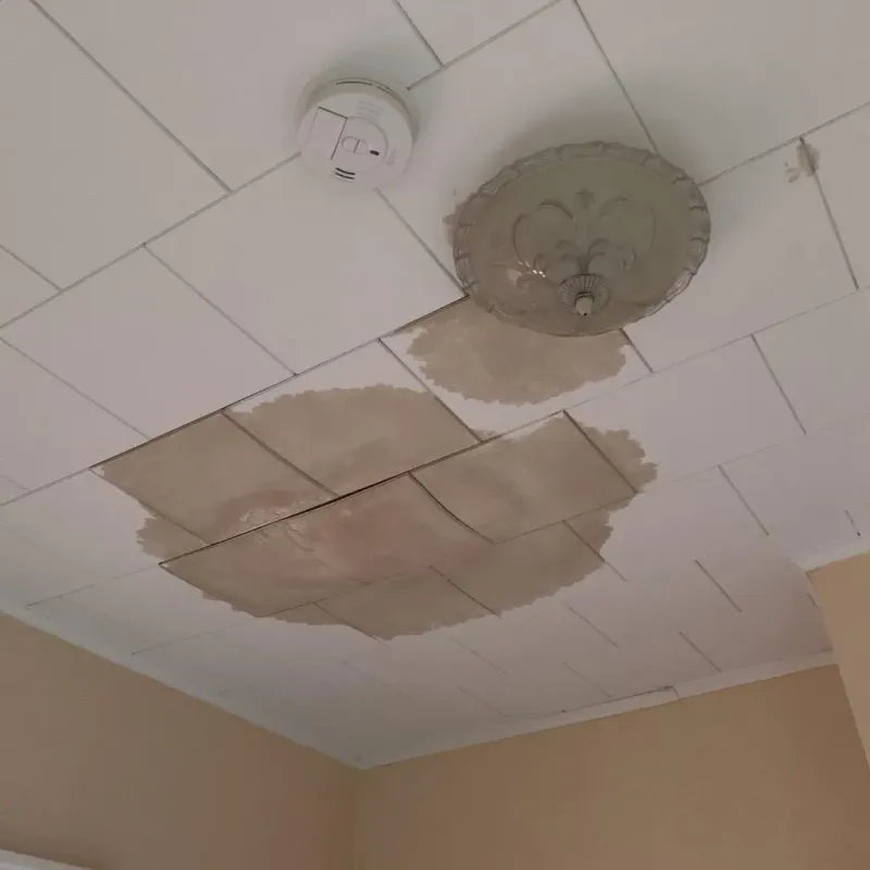 Ceiling Water Damage Repair in Buena Vista, MI