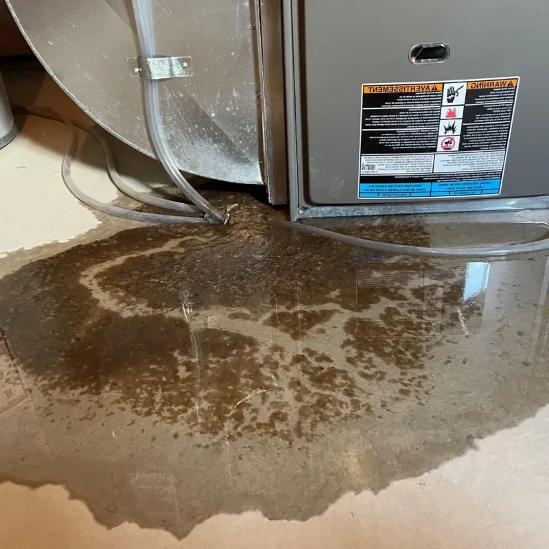 Pipe Burst and Leak Restoration in Buena Vista, MI