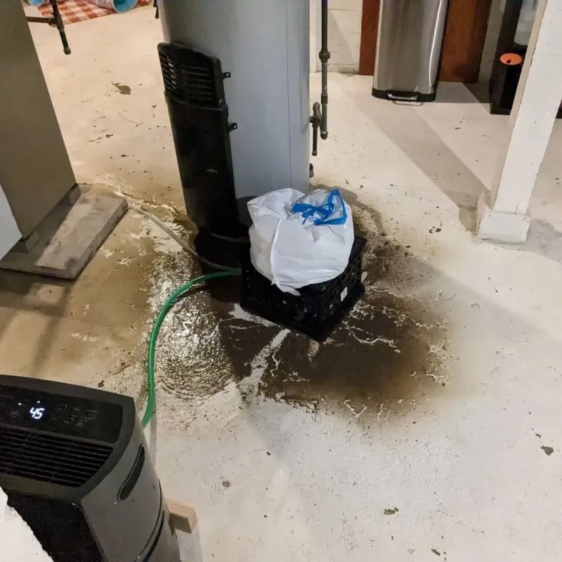 Sewage Backup Cleanup Service in Buena Vista, MI